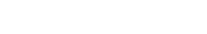 Savotoys Logo